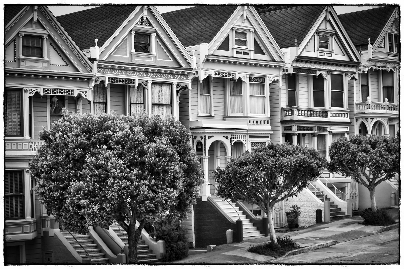 PAINTED LADIES