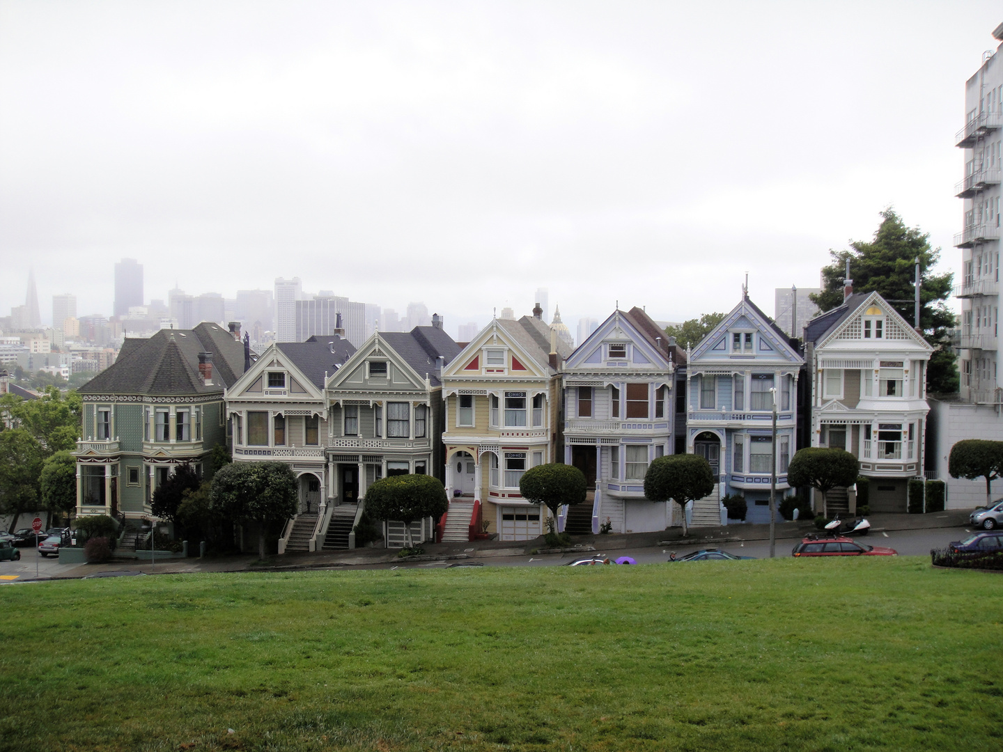 painted ladies