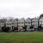 painted ladies