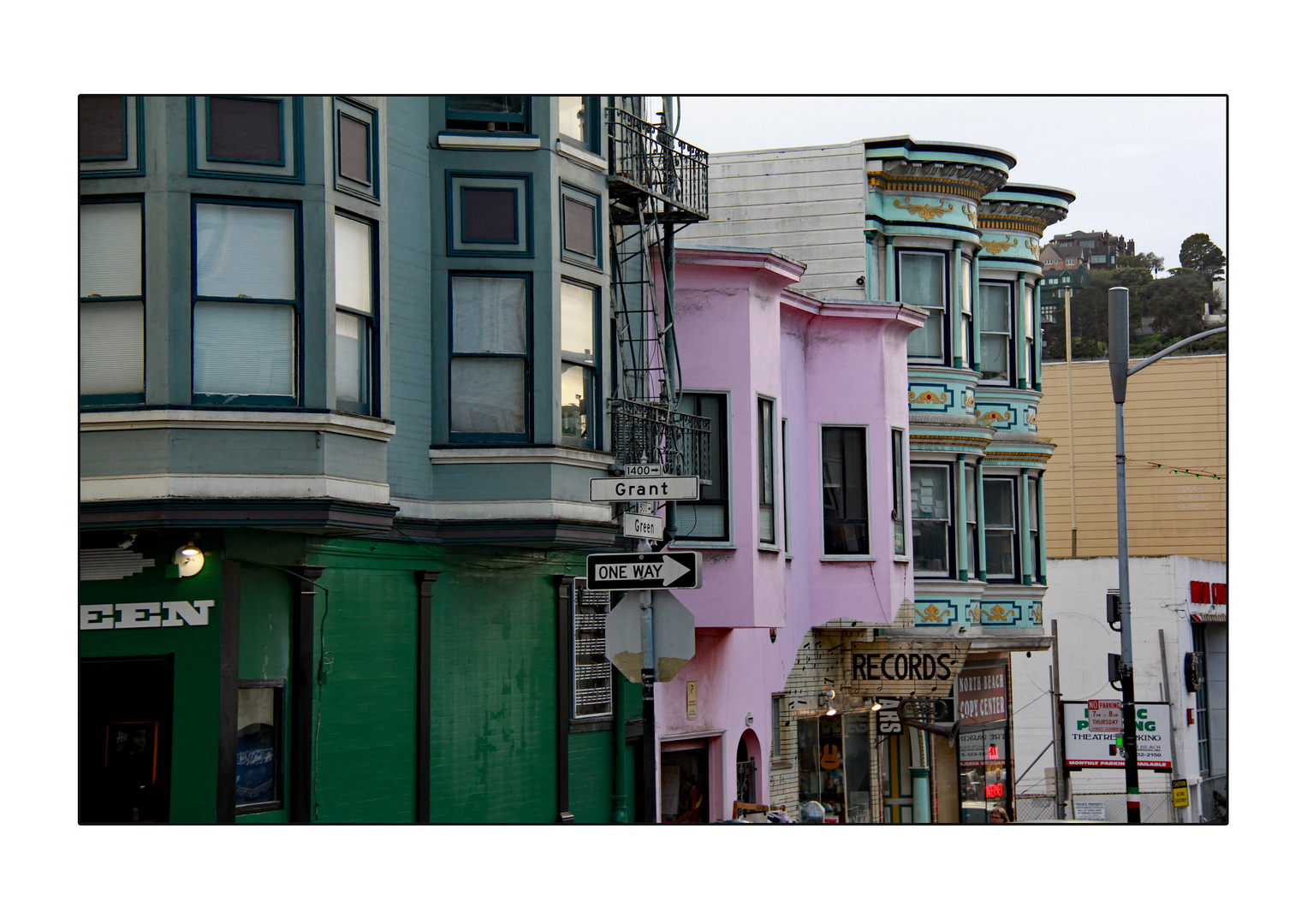 Painted Ladies