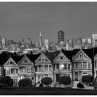 Painted Ladies ;-)