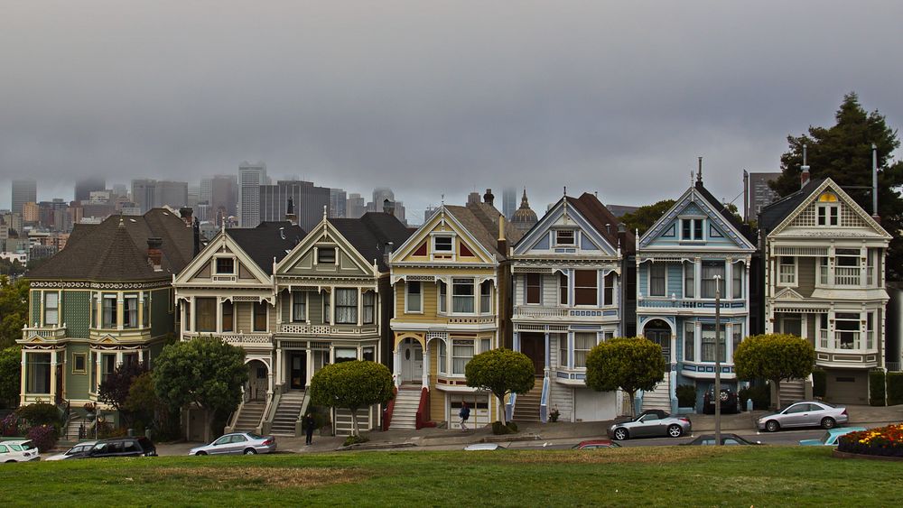 Painted Ladies