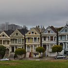 Painted Ladies