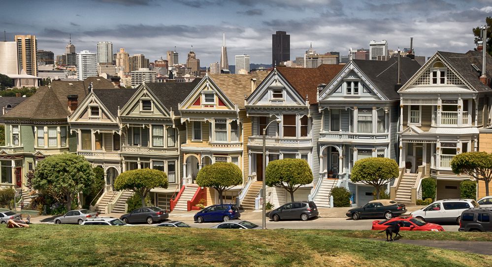 Painted Ladies