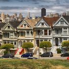 Painted Ladies