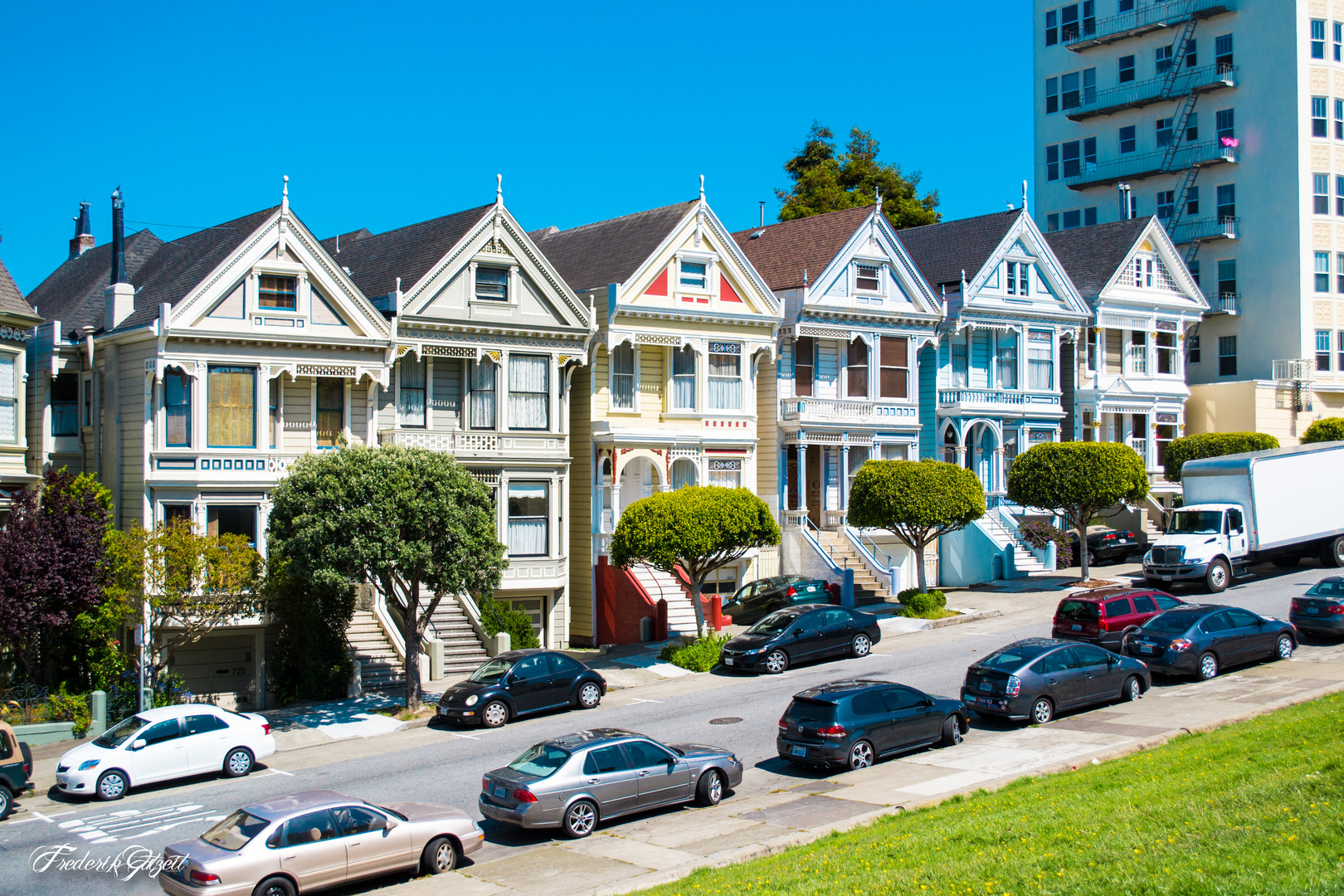 Painted Ladies I