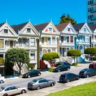 Painted Ladies I