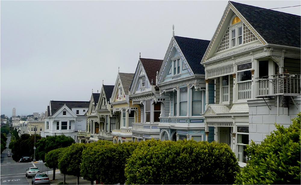 Painted Ladies II