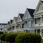 Painted Ladies II