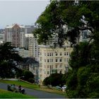 Painted Ladies III