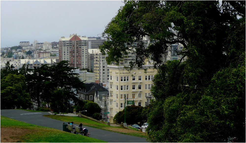 Painted Ladies III