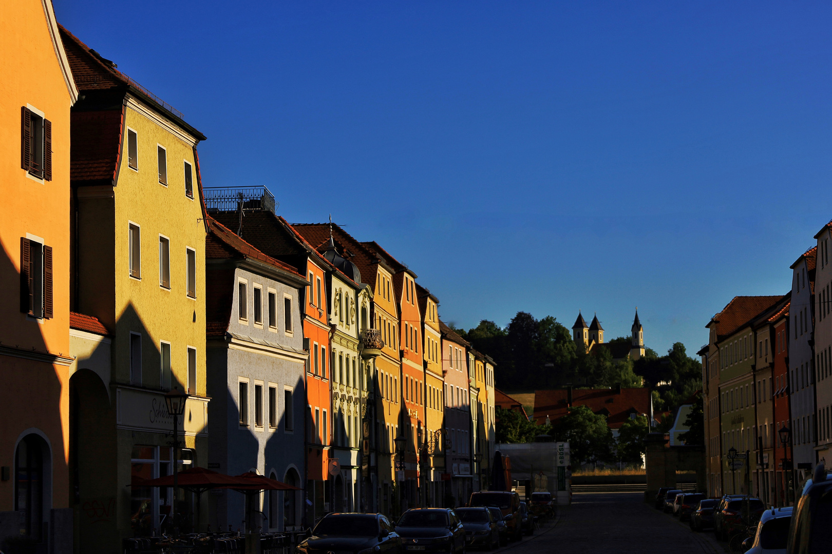 Painted Ladies in Regensburh