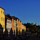 Painted Ladies in Regensburh