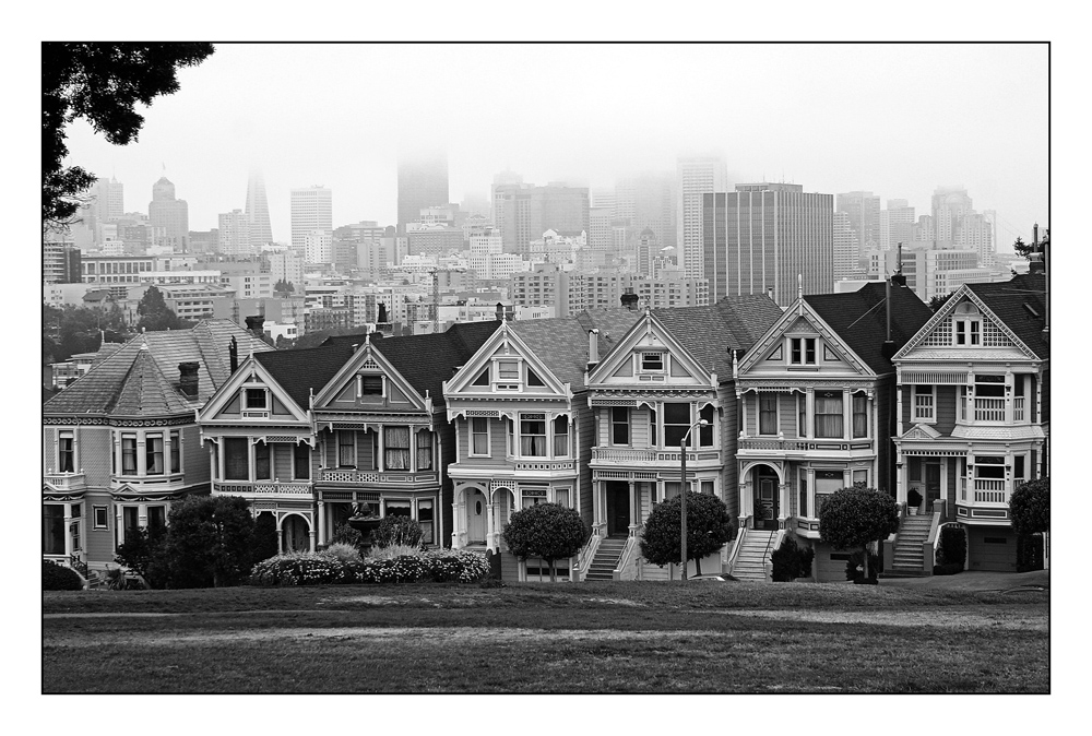 Painted Ladies (reloaded)