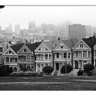 Painted Ladies (reloaded)