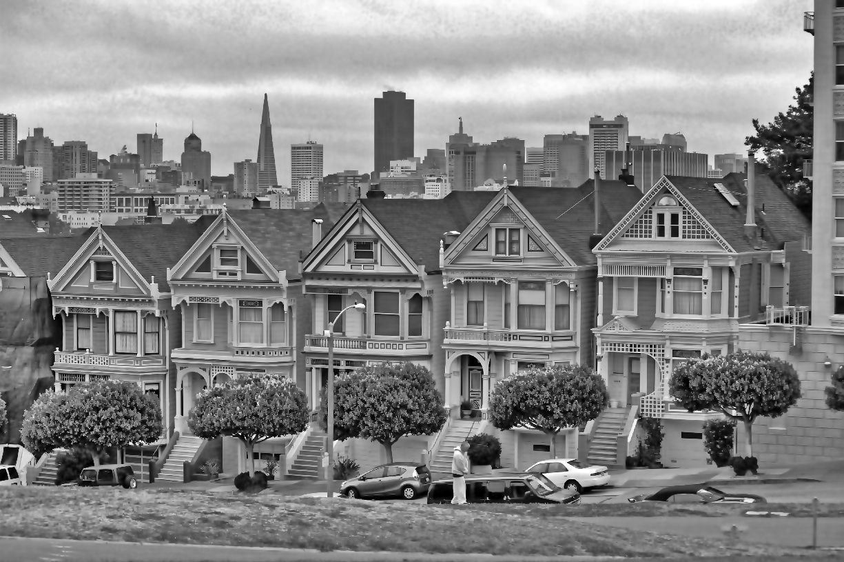 Painted Ladies/ San Francisco CA