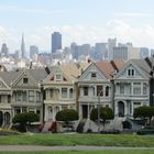 Painted Ladies / San Francisco