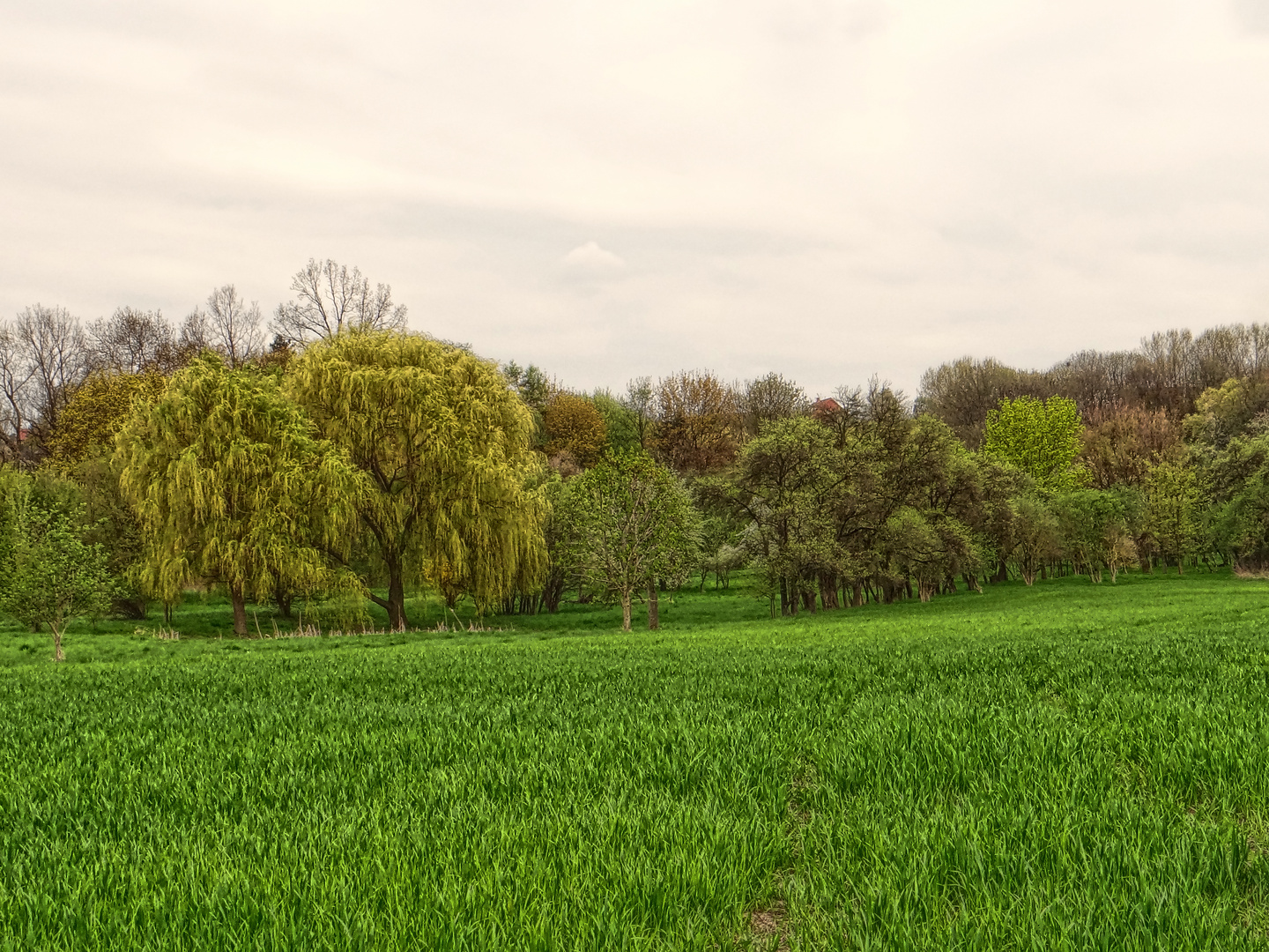 painted Landscape