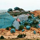 Painted rocks