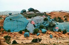 Painted rocks