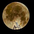 Painting Mr.Moon