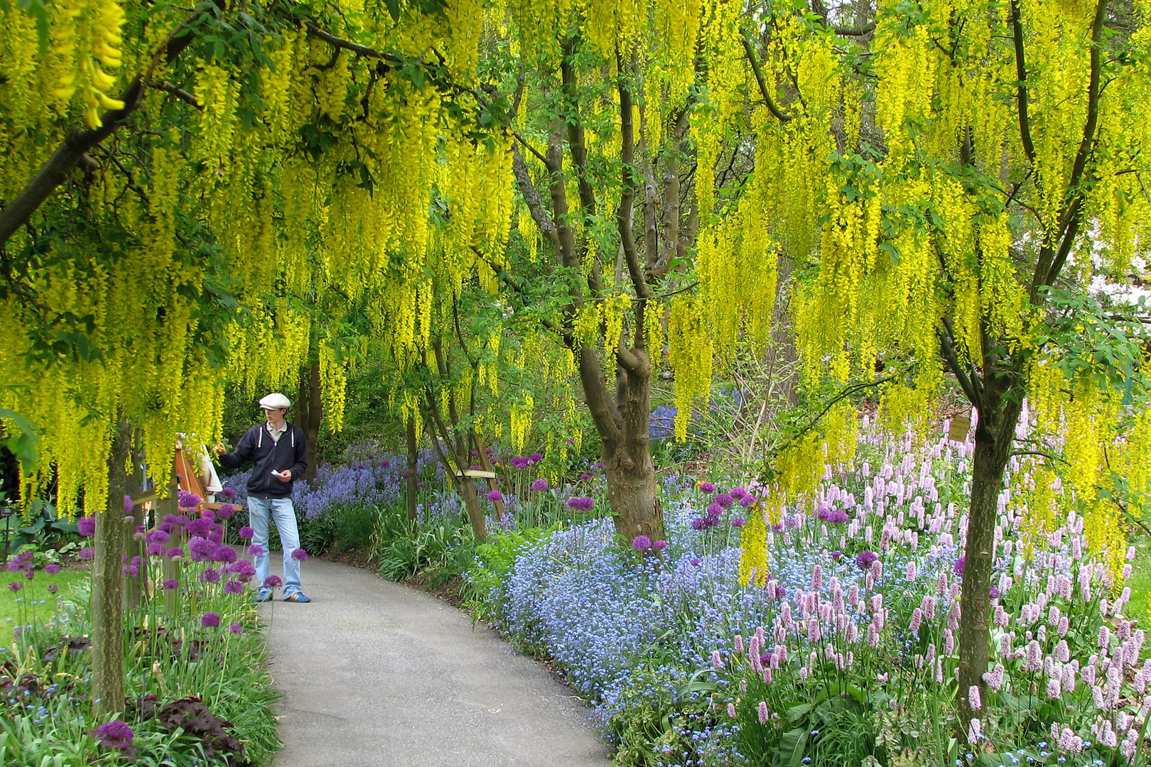 Painting Spring