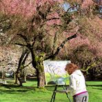 Painting Spring