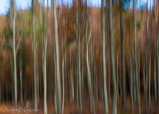 Painting with a Lens II