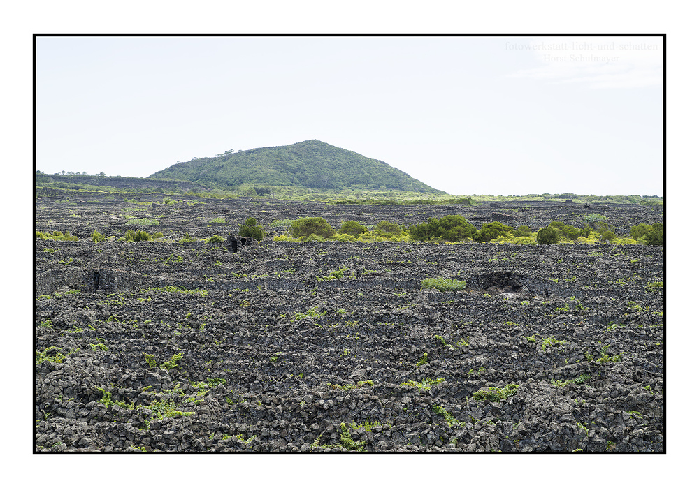 Paisagem da cultura da vinha da Ilha do Pico