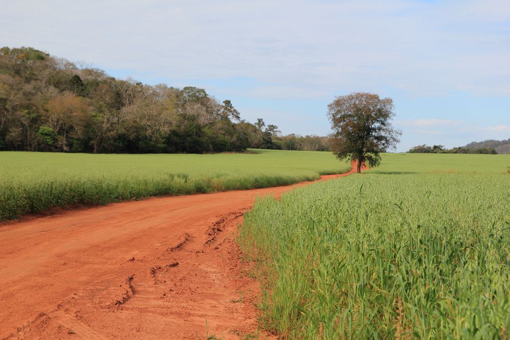 Paisagem Mato Grosso do Sul