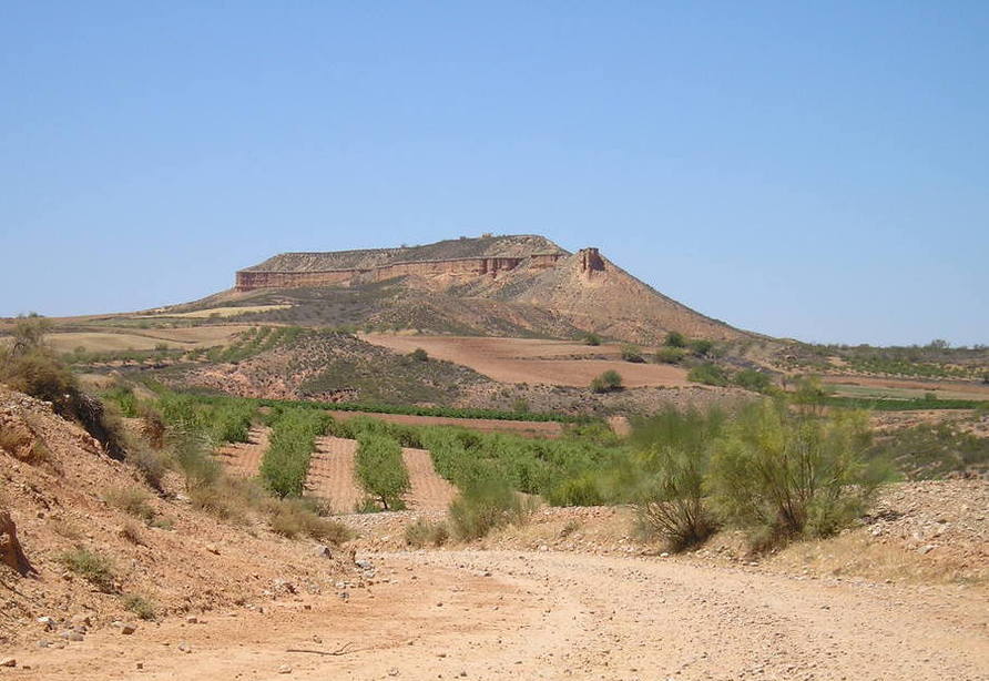 Paisaje 2010