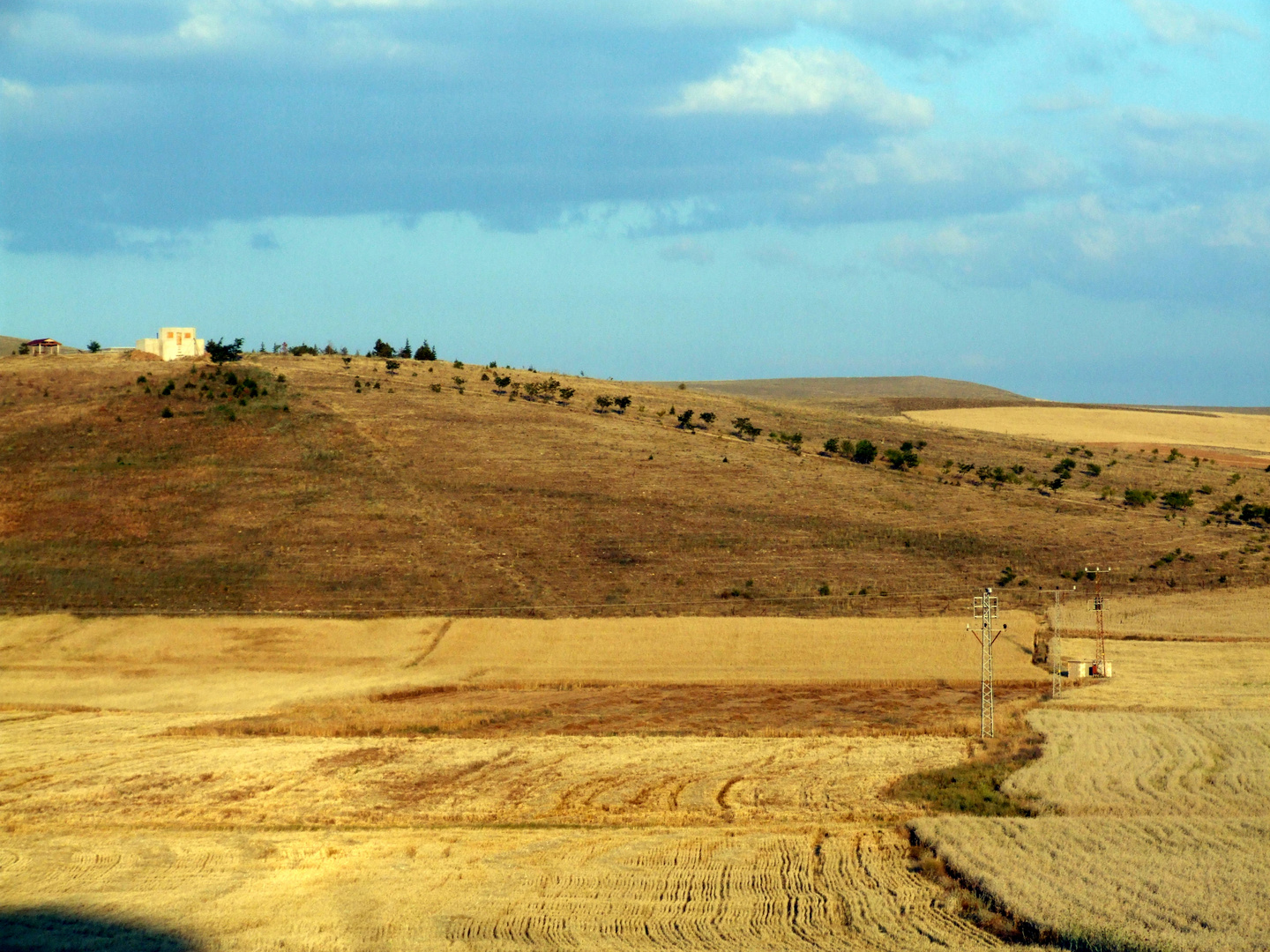 Paisaje agreste