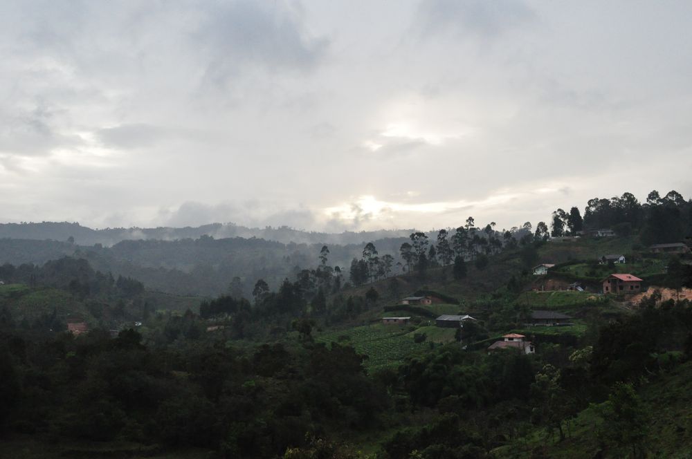 Paisaje antioqueño 2 de bedma 