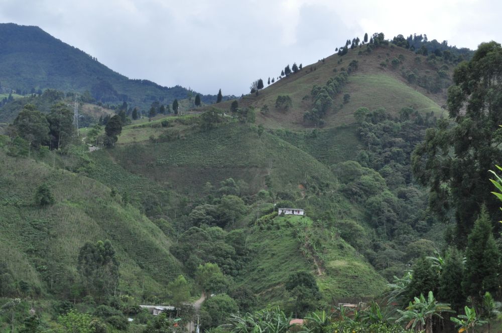 Paisaje antioqueño de bedma 