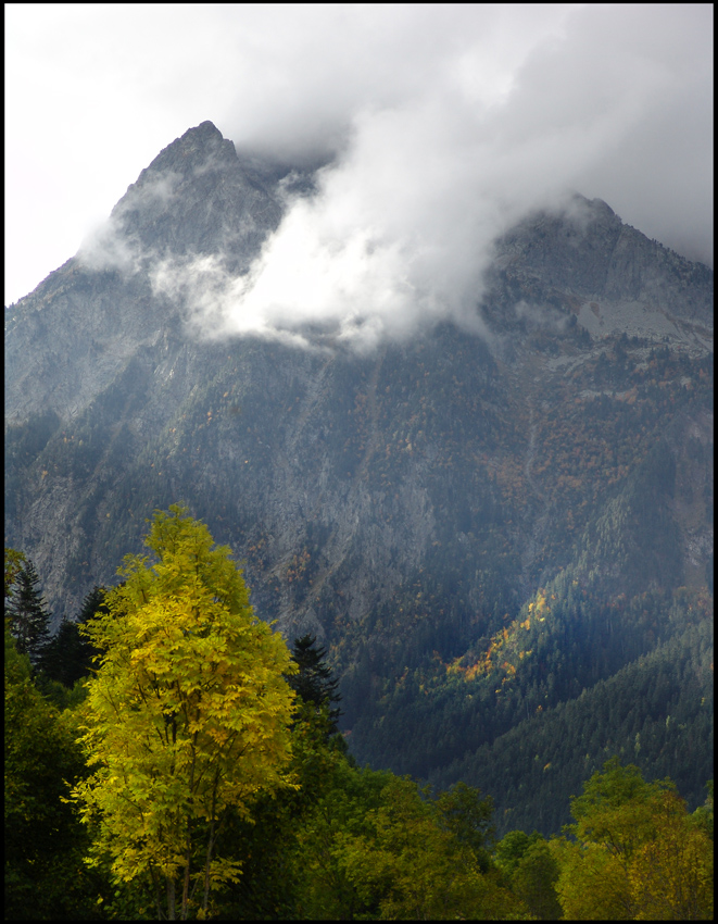 Paisaje Brumoso