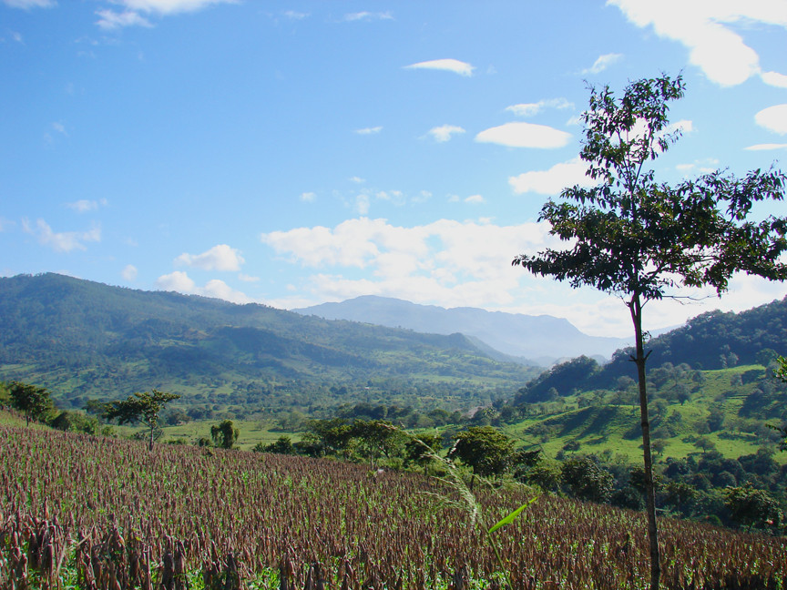 Paisaje bucolico