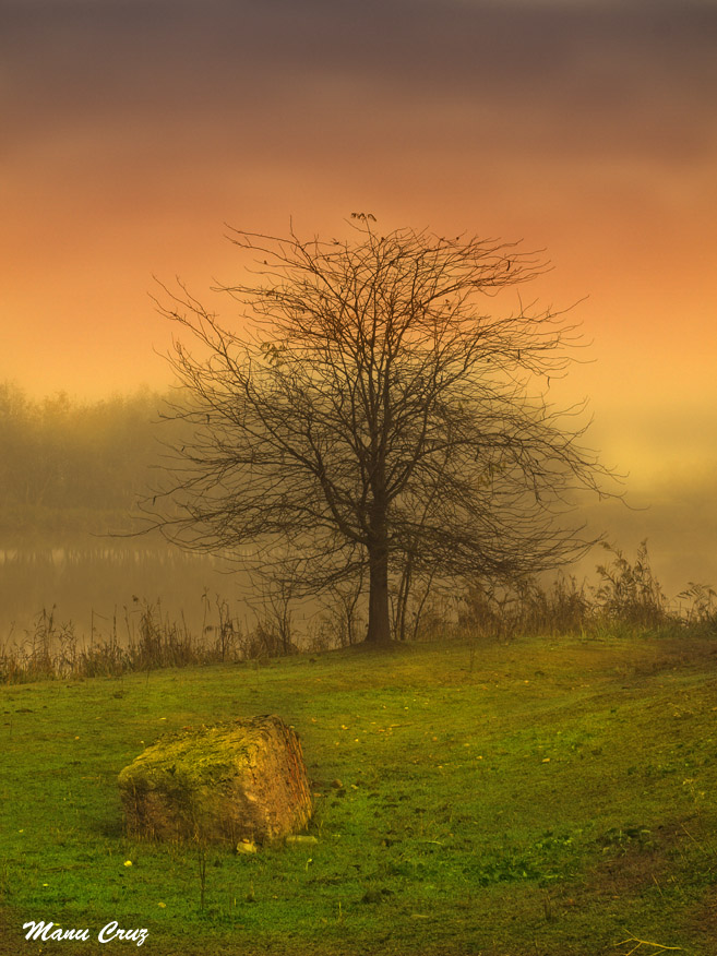 Paisaje Bucólico