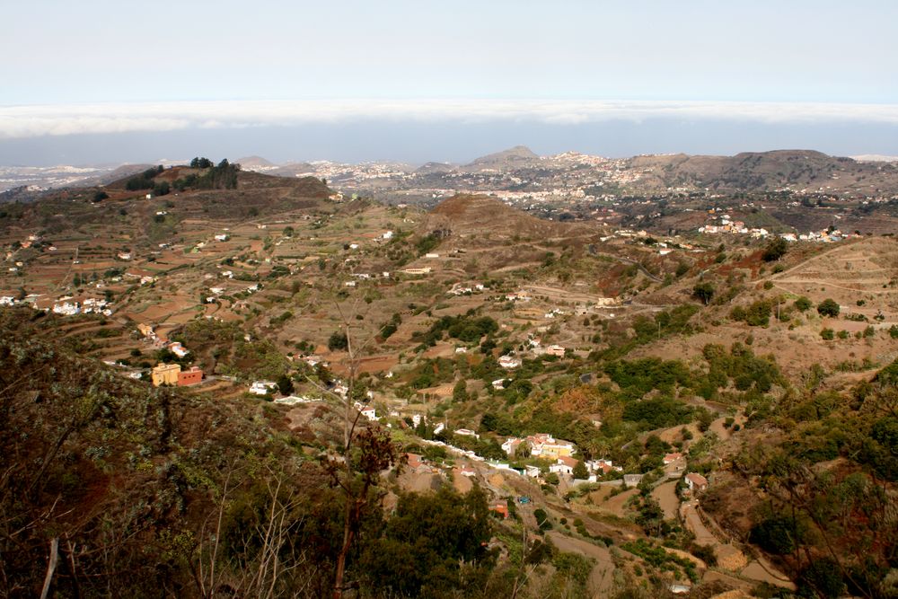 Paisaje Canario (Casas diseminadas)