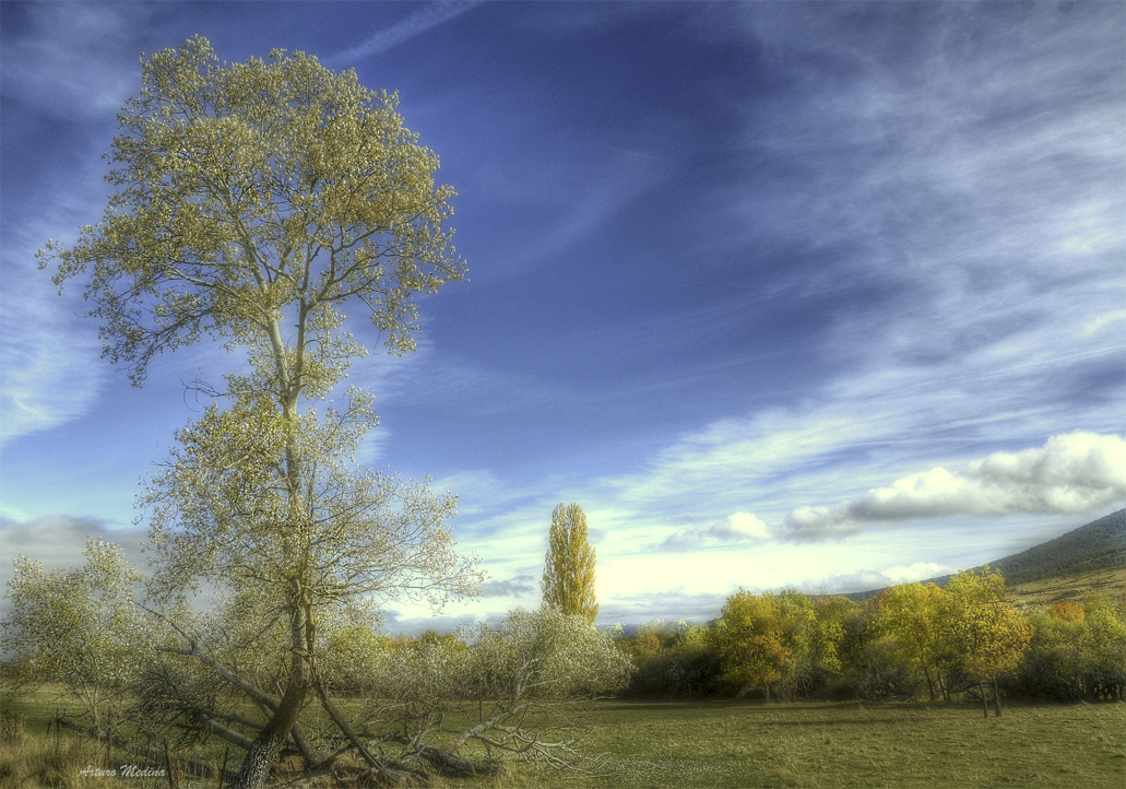 PAISAJE CASTELLANO