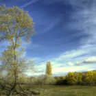 PAISAJE CASTELLANO