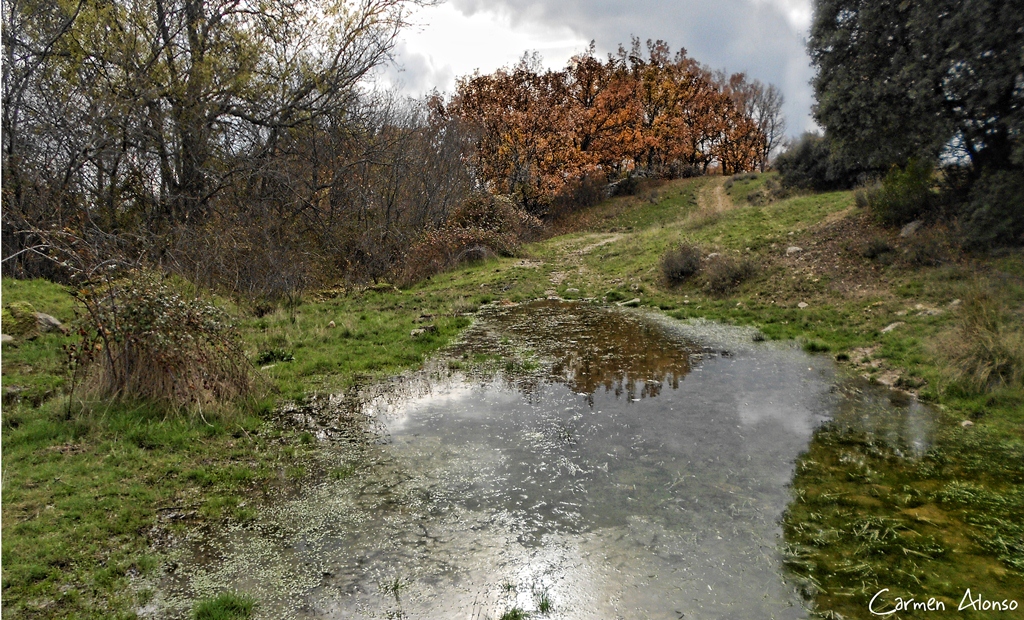 Paisaje con agua