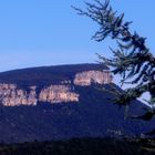 PAISAJE CON ARBOL