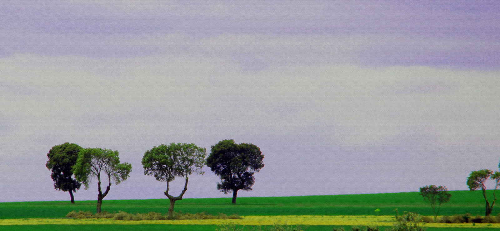 Paisaje con árboles.