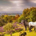 Paisaje con Caballos