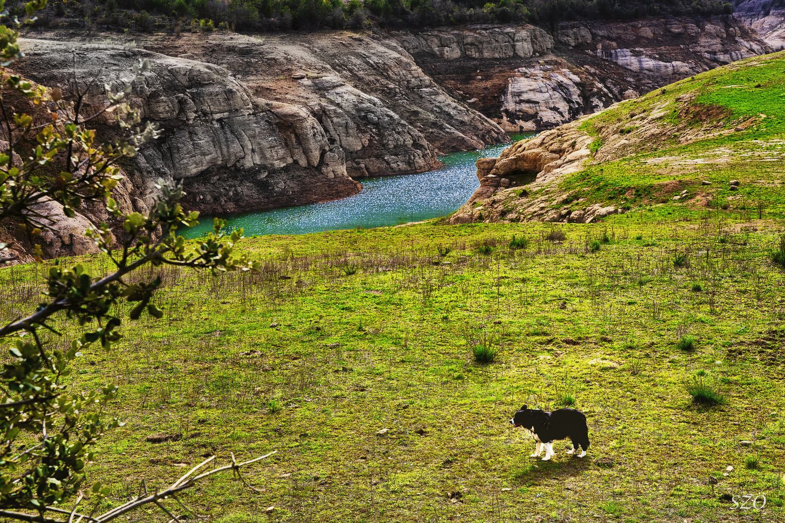 Paisaje con Perro