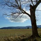 PAISAJE CON ÁRBOL...  FERNANDO LÓPEZ   fOTOGRAFÍAS...