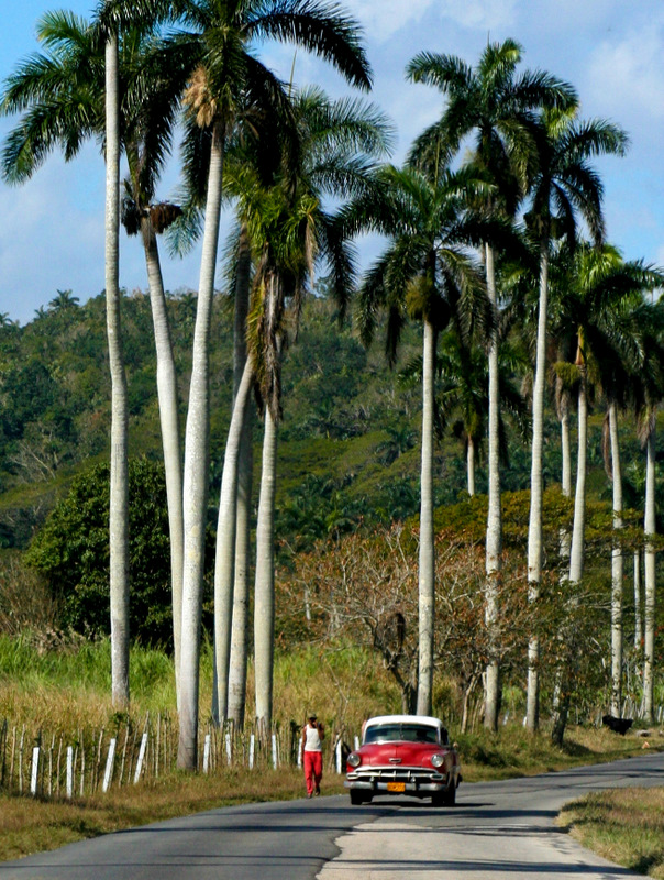 paisaje cubano