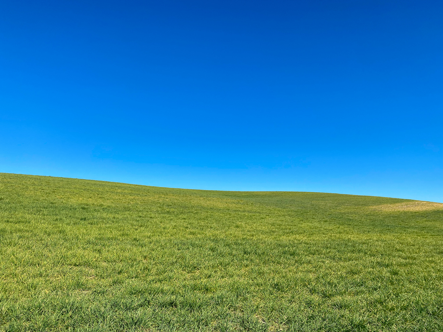 Paisaje de La Mancha