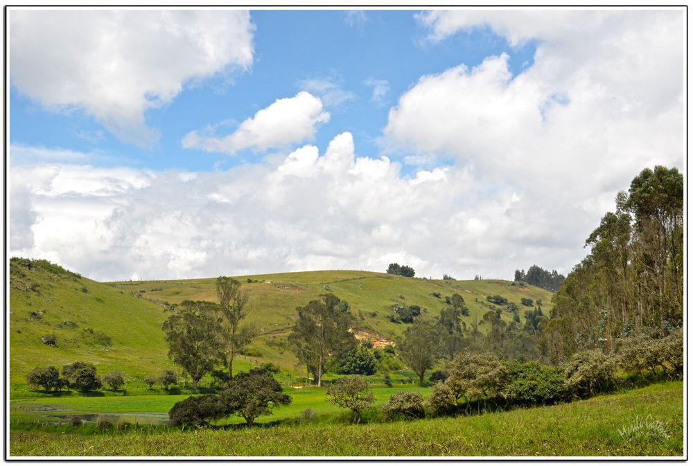 PAISAJE DE LA SABANA DE BOGOTA