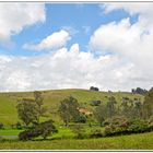 PAISAJE DE LA SABANA DE BOGOTA